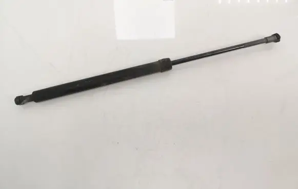 Tailgate strut