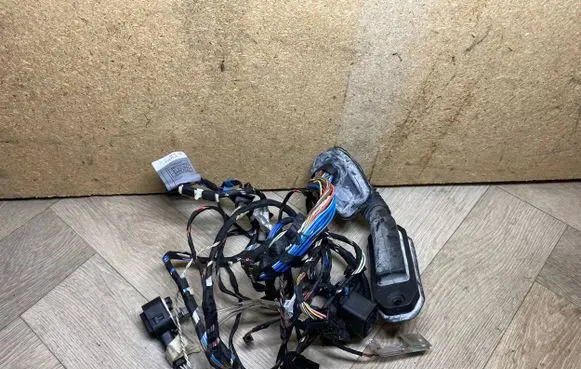 BMW X3 F25 Front door wiring loom 9243646 9252371 7252537