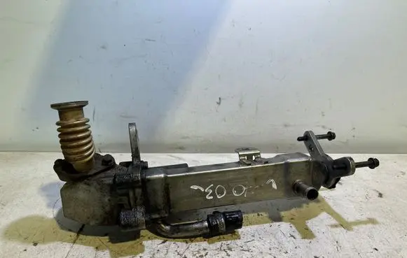 Volvo V70 EGR valve 53411452 04L025