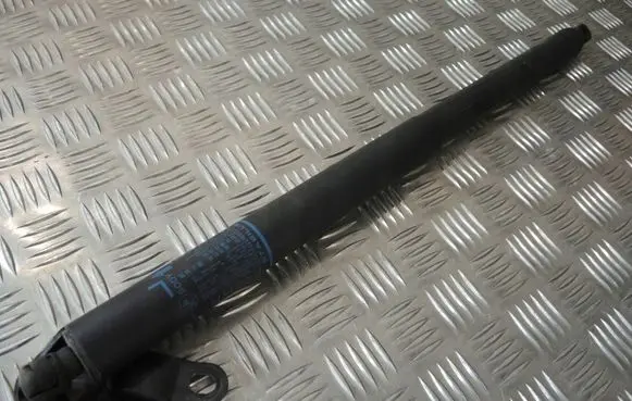 BMW X1 E84 Tailgate/trunk strut/damper 7481803