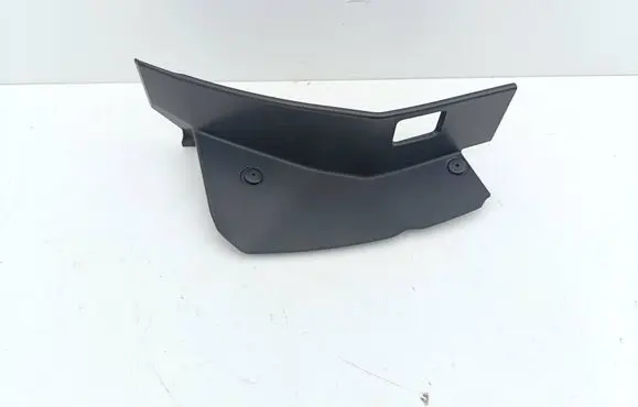 Rear/tail light trim molding