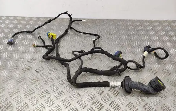 Front door wiring loom