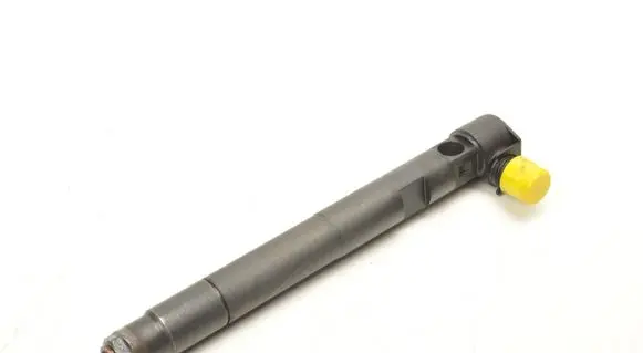 Opel Antara Fuel injector 28264951