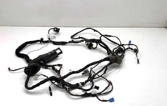 BMW 5 G30 G31 G38 Front door wiring loom 9841253