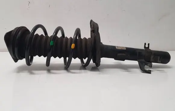 Nissan Qashqai Front shock absorber with coil spring 543034EA3A