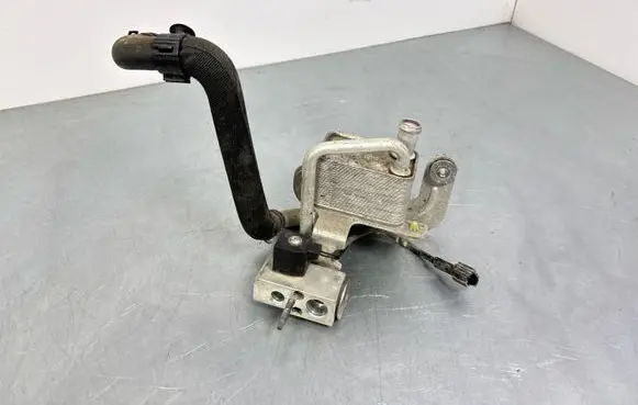 MG ZS Hybrid/electric vehicle battery fan 10576401