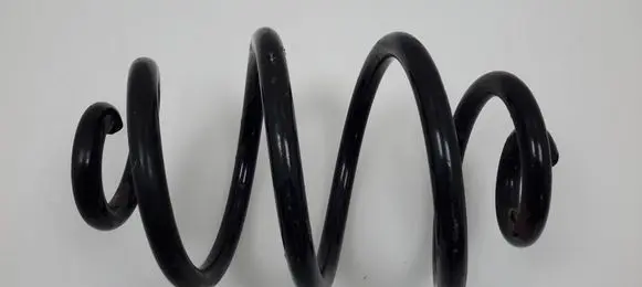 Rear coil spring