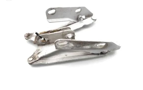 Mercedes-Benz Sprinter W906 Engine bonnet/hood hinges 9067500021 Q003
