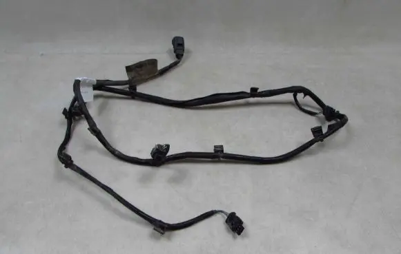 Volvo V70 Parking sensor (PDC) wiring loom 3176415 55689
