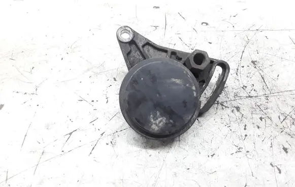 Volkswagen PASSAT B5.5 Air conditioning tensioner 