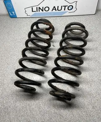 Rear coil spring