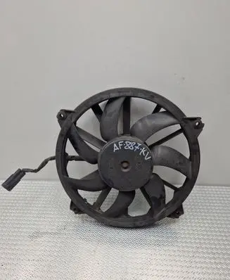 Peugeot 3008 I Electric radiator cooling fan 9661571480 FS1572 988495H