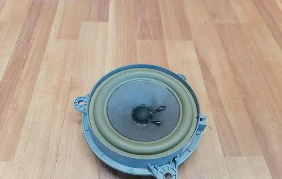 Rear door speaker