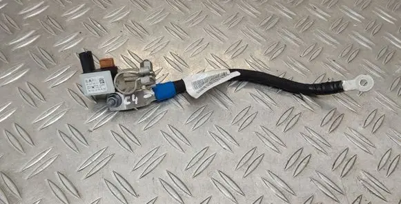 Citroen C4 III e-C4 Negative earth cable (battery) 9851196680 9845856880