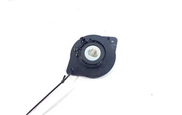 Panel speaker