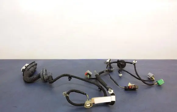 Cadillac CTS Other wiring loom 84007107