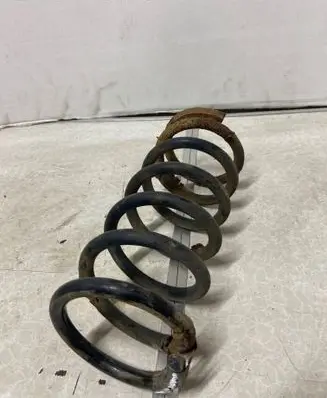 Rear coil spring