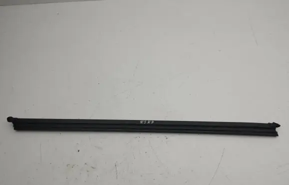 Audi A1 Rubber seal front door (on door) 