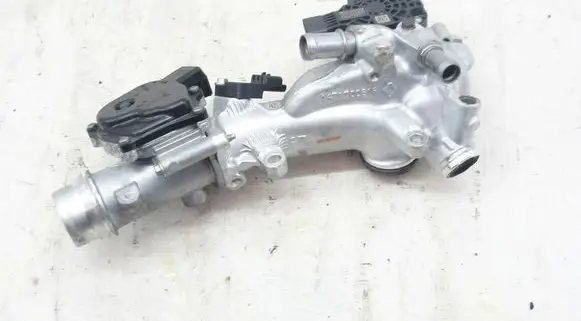 Renault Clio V EGR valve 161A03415R