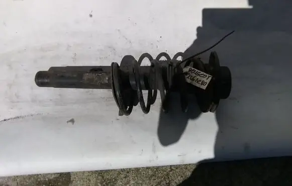 Peugeot 206 Front shock absorber with coil spring