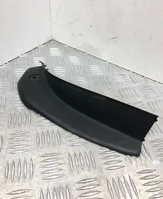 Rear/tail light trim molding