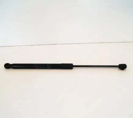 Tailgate/trunk strut/damper