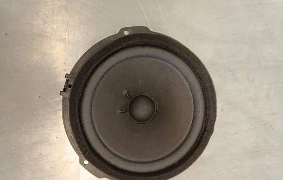 Ford S-MAX Rear door speaker DST18808BB