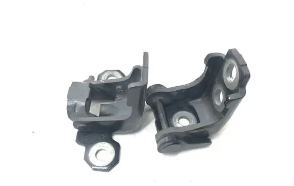 Renault Clio IV Front door hinge set 804200003RK
