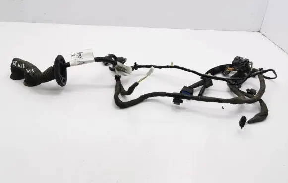 Jaguar X-Type Front door wiring loom 1X4314A584FEB 55J426448
