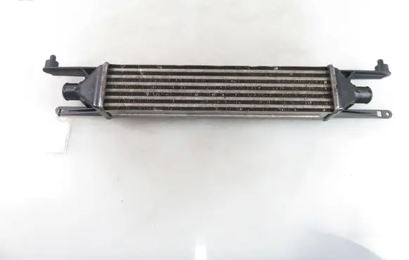 Fiat Punto (199) Intercooler radiator 866450200
