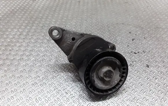 Citroen C2 Generator/alternator belt tensioner E5099A111830