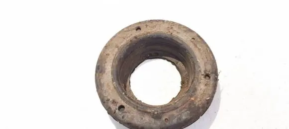 Coil spring mount
