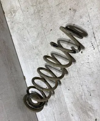 Rear coil spring