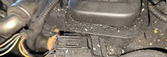 BMW 1 E81 E87 Camshaft position sensor 