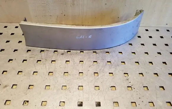 Rear/tail light trim molding