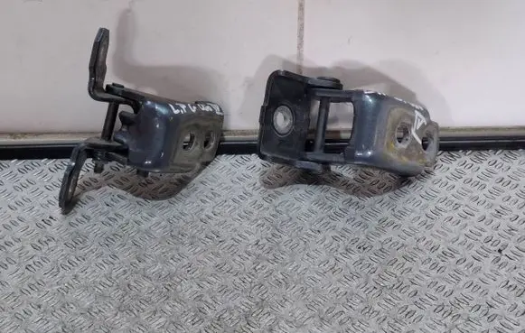 Renault Clio IV Front door hinge set 