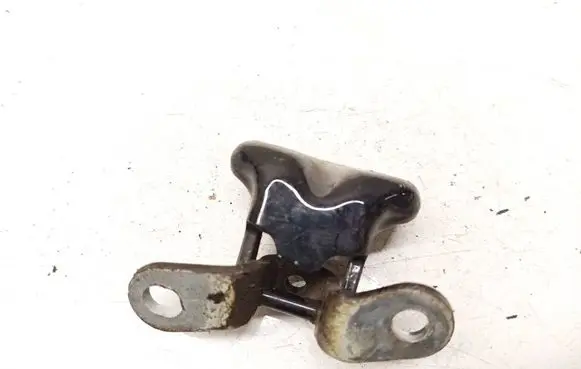 KIA Optima Rear door lower hinge 