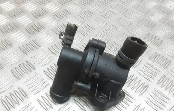 Thermostat/thermostat housing