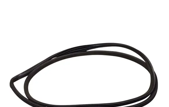 Ford Fiesta Front door rubber seal 