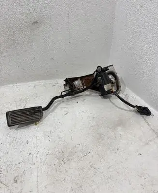 Nissan Terrano Accelerator throttle pedal 0206001022