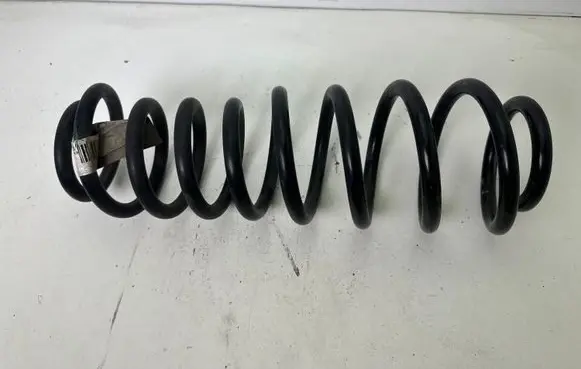 Ford Mustang V Rear coil spring E29EJ