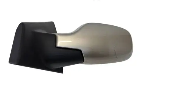 Renault Clio III Front door electric wing mirror E20104016
