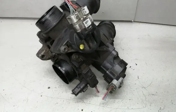 Citroen Xsara Picasso Throttle valve