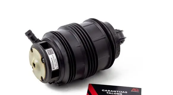 Mercedes-Benz CLS C219 Rear air suspension bag/shock absorber 2113201325 A211320072580 211320152588
