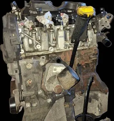 Nissan Juke I F15 Engine 19733R
