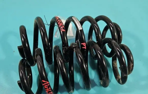 Rear coil spring