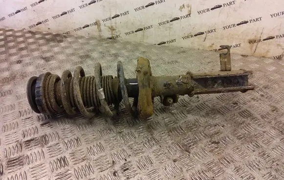 Opel Insignia A Front shock absorber with coil spring