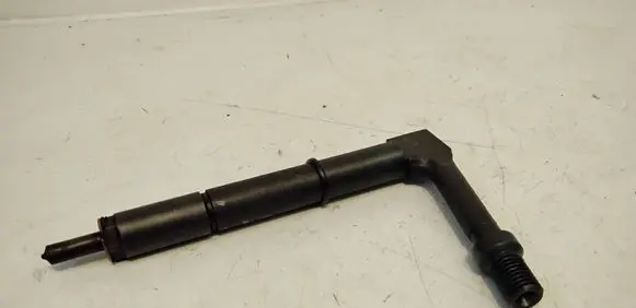 Nissan Almera Tino Fuel injector 484391