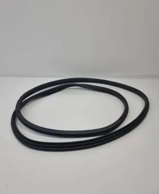 Nissan Ariya Rear door rubber seal (on body) 