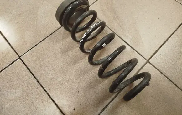 Rear coil spring
